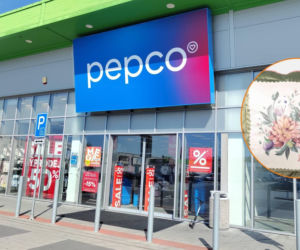 Ta kolekcja Pepco to prawdziwy hit tej jesieni. Dzięki tym dodatkom stworzysz przytulne wnętrze