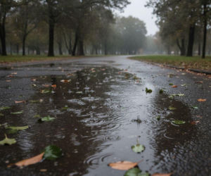 Deszczowy weekend szykuje się w Olsztynie. Prognoza pokazuje ważny szczegół