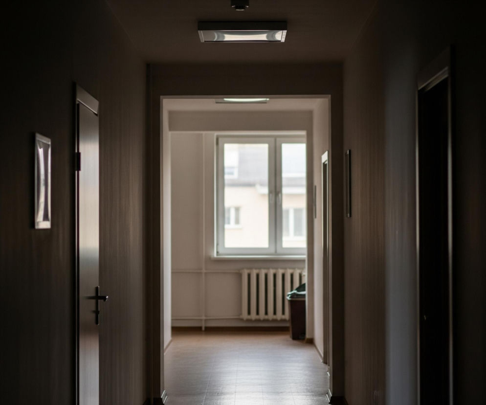 Długi, ciemny korytarz prowadzi w głąb pomieszczenia z oknem w tle, przez które wpada dzienne światło. Po lewej stronie korytarza widoczne są zamknięte drzwi z klamką i ramka obrazu wisząca na ścianie, a po prawej kolejne elementy oprawy ściennej. Podłoga w dalszej części korytarza jest jaśniejsza, ukazując brązowe, panelowe deski, natomiast na końcu korytarza, pod oknem, znajduje się biały grzejnik i ciemny kosz na śmieci.