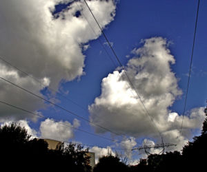Natura, portrety ale też akty. Wernisaż wystawy Fotorefleksje 2020 w MBP