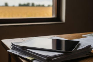 Nowe przepisy UE dla hodowców bydła i soi. Zamiast stosu dokumentów czeka ich uproszczenie