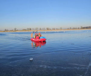 Makabryczny widok nad jeziorem! 50 martwych łabędzi. Wiadomo, co je zabiło