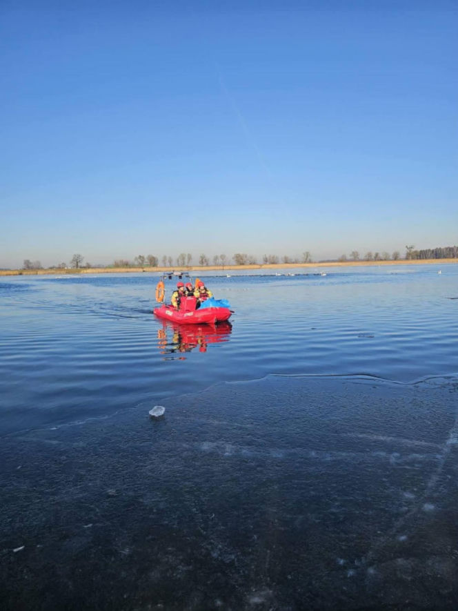 Makabryczny widok nad jeziorem! 50 martwych łabędzi. Wiadomo, co je zabiło