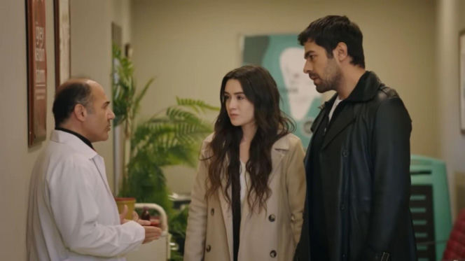 Wichrowe wzgórze odc. 316