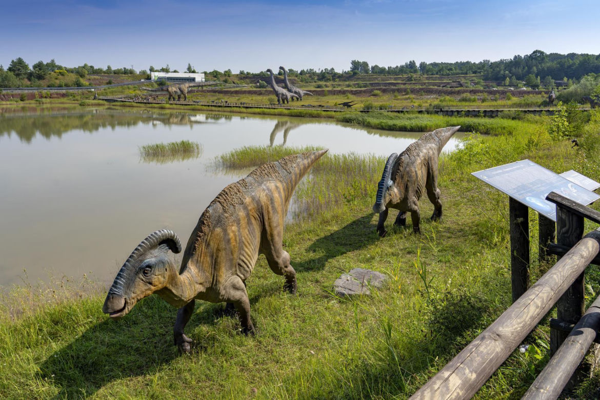 JuraPark Krasiejów