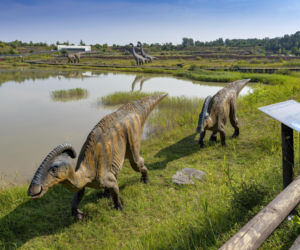 JuraPark Krasiejów
