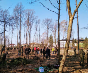 Katowice: Leśnicy sadzą na Muchowcu nowe drzewa [ZDJĘCIA, AUDIO]