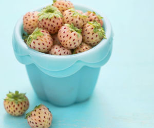Pineberry