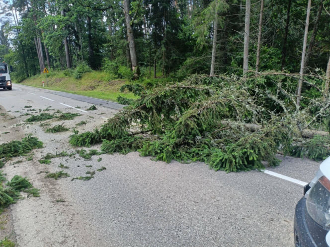 Drzewa na drogach i budynkach. Zniszczone namioty harcerzy. Walka z żywiołem  na Warmii i Mazurach