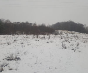 Zima na Górkach Fordońskich