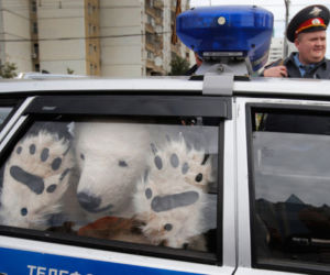 byłe zsrr to specyficzny kraj