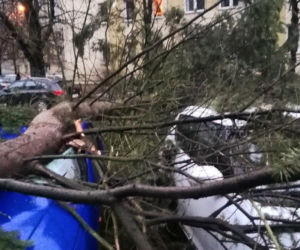 Dudley sieje zniszczenie w Warszawie. Powyrywane drzewa runęły na auta