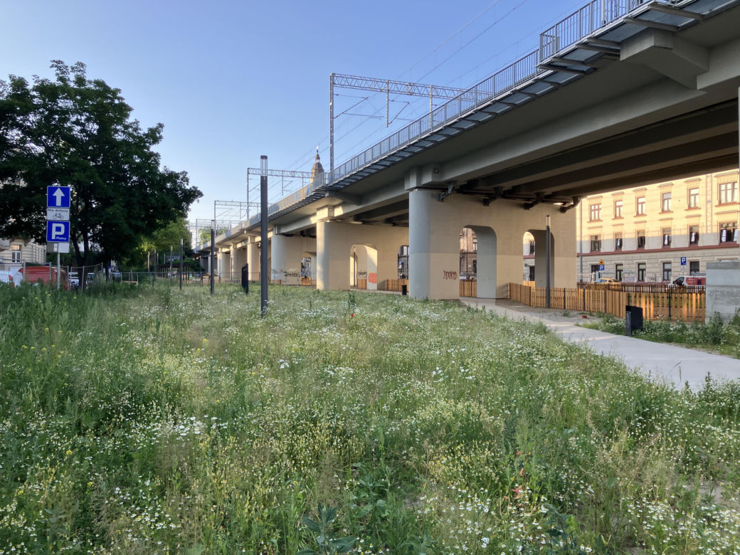 Park Kolejowy w Krakowie - 19 czerwca 2025 r.