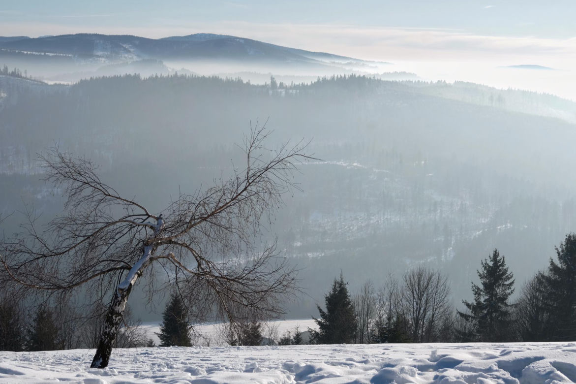 Niesamowite zdjęcia z Beskidu Śląskiego! Te widoki zapierają dech w piersiach [GALERIA]