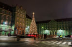 Choinka przed urzędem miasta w Szczecinie