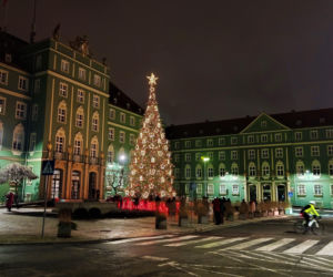 Choinka przed urzędem miasta w Szczecinie