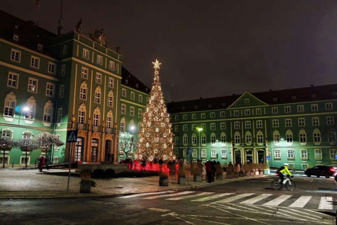 Choinka przed urzędem miasta w Szczecinie