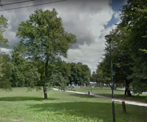 W tych miejscach w Krakowie na pewno spotkamy szczura!
