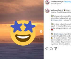 Zakochane łabędzie w słupie świetlnym. Niezwykły widok nad jeziorem Wulpińskim! [ZDJĘCIA]