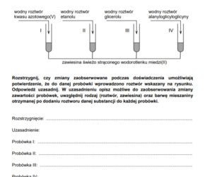 Matura z chemii 2021 - arkusz PDF