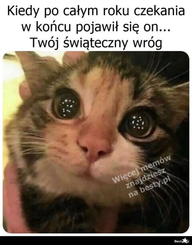 Najlepsze memy o świętach. Te obrazki rozbawią Cię do łez! Tak wygląda Boże Narodzenie oczami internautów [TOP 75]
