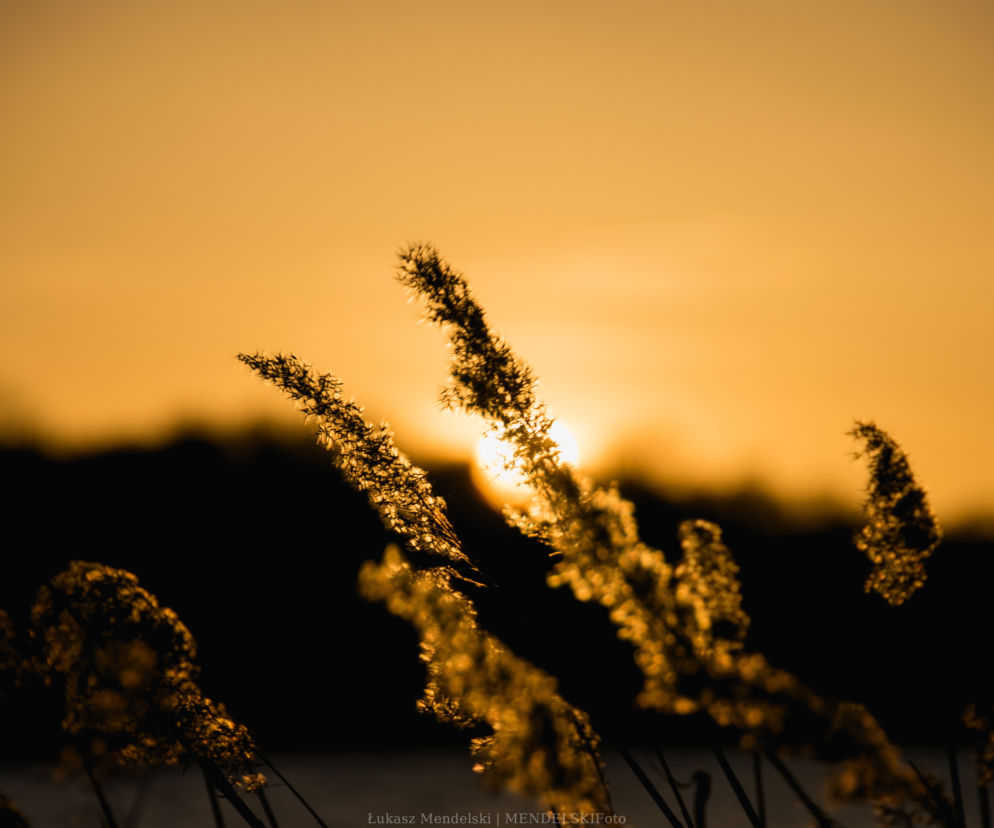 Wieczór nad Rusałką [ZDJĘCIE DNIA]