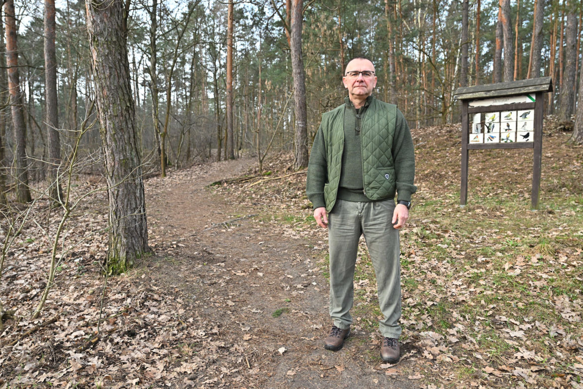  Obława na dziki w Legionowie. Komendant straży miejskiej apeluje: "Nie dokarmiajmy!"