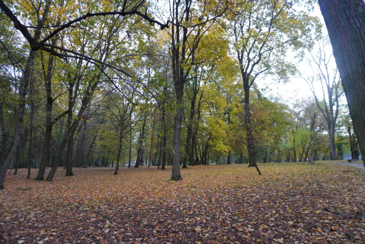 Park Lubomirskich w Białymstoku jesienią 