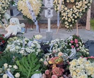 Te historie wyciskały łzy w 2025 roku. Bezsensowna śmierć, cierpienie zwierząt i niewytłumaczalna zbrodnia