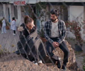 Dziedzictwo odc. 843