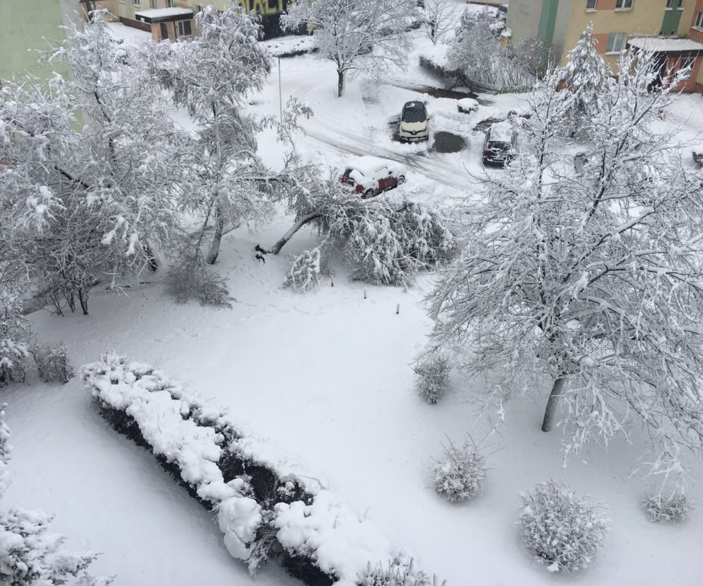Śnieżny armagedon w Białymstoku. Sytuacja jest trudna, ale nie beznadziejna [ZDJĘCIA, WIDEO]