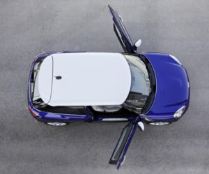 Mini Paceman