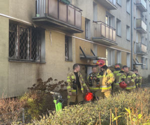 Pożar mieszkania na parterze. Strażacy z ognia wynieśli przerażonego kota
