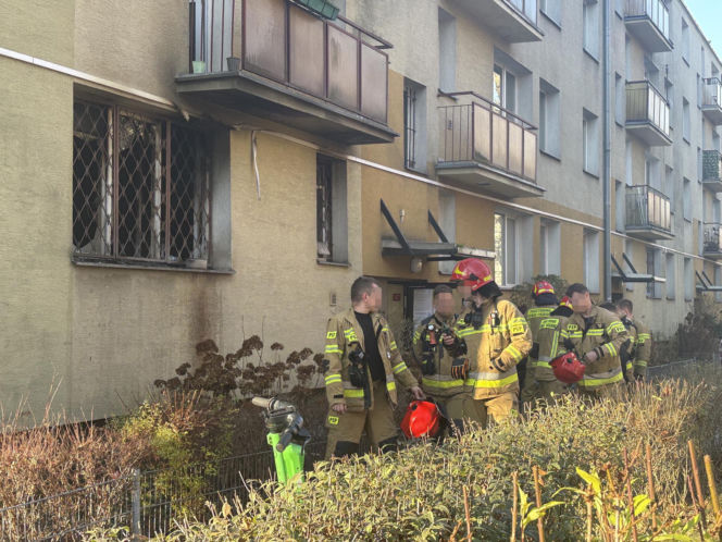 Pożar mieszkania na parterze. Strażacy z ognia wynieśli przerażonego kota