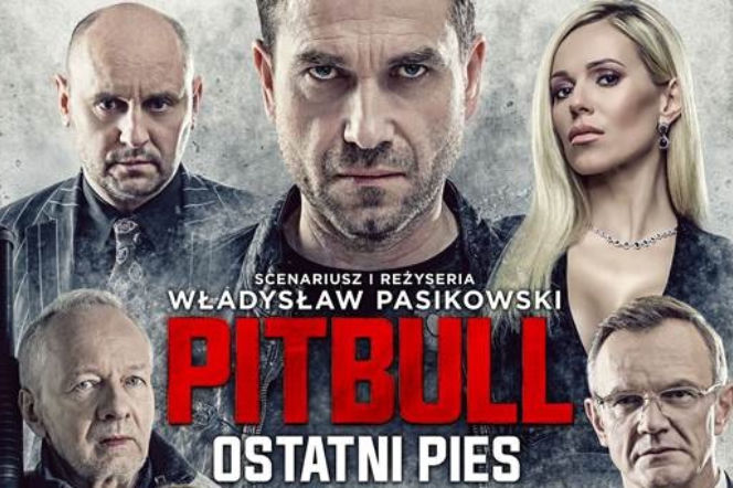 Pitbull. Ostatni pies