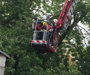 Burze z gradem w Podlaskiem. Powalone drzewo przygniotło samochód [ZDJĘCIA]