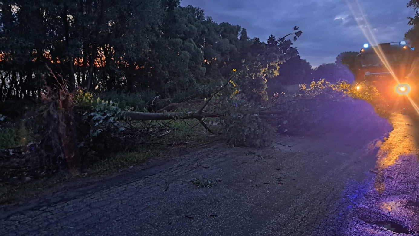 Burze nawiedziły województwo kujawsko-pomorskie. Zdjęcia z akcji strażaków