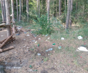 Las nieopodal ulicy Szmaragdowej tonie w śmieciach. 