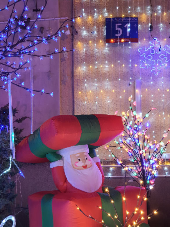 Odlotowy ogród na Bielanach. Niesamowite iluminacje!  