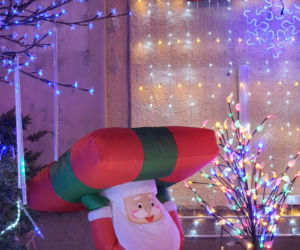 Odlotowy ogród na Bielanach. Niesamowite iluminacje!  