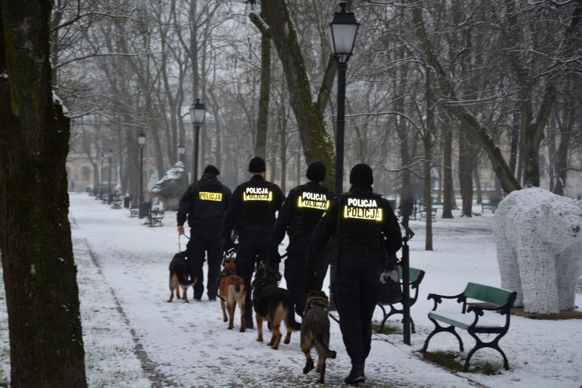 Tazer, policjant na 4 łapach, przeszedł na emeryturę