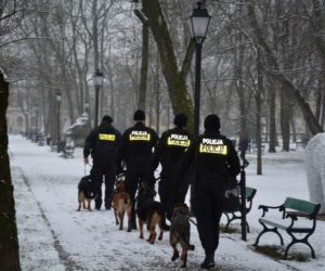 Tazer, policjant na 4 łapach, przeszedł na emeryturę