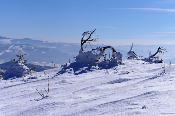 Magurka Radziechowska na zdjęciach