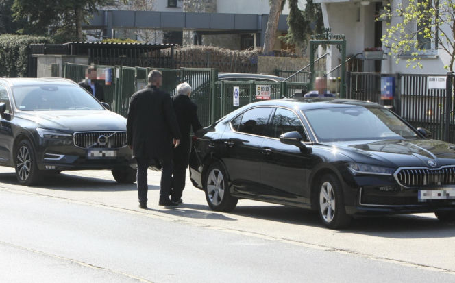 Jarosław Kaczyński szykuje się do świąt. Prezes PiS z kolorową palmą