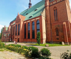 Modernizacja północnej ściany katedry św. Jakuba w Szczecinie