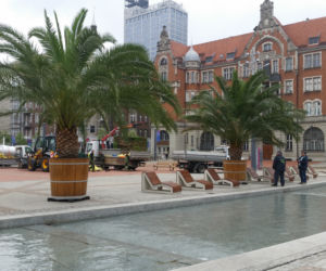 Palmy Katowice 3