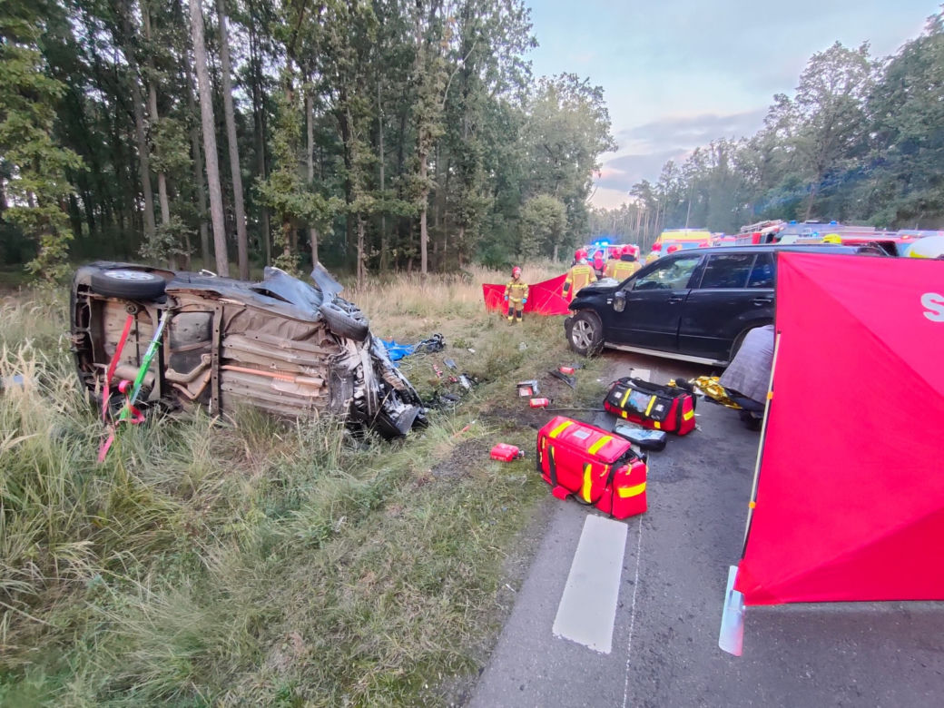 Wypadek pod Kościanem. Zderzenie samochodu z jeleniem doprowadziło do czołówki