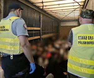 54 migrantów w naczepie ciężarówki. Próbowali dostać się do Polski