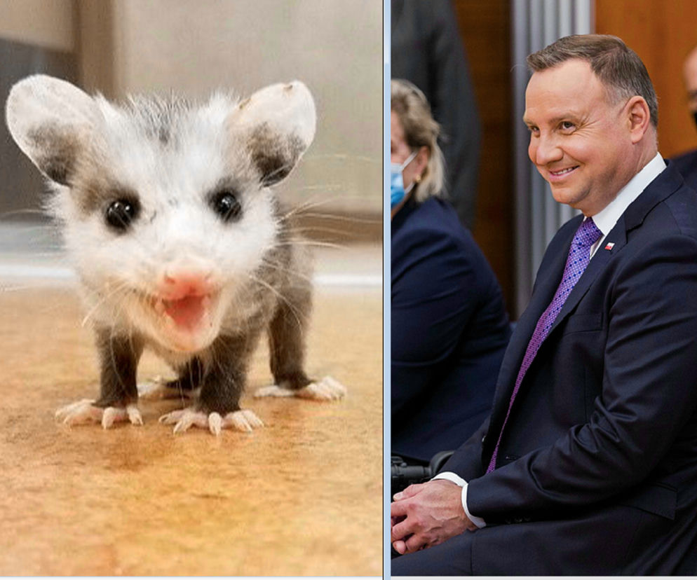 Prezydent Duda i opos