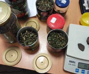 Suwałki. W słoikach były narkotyki, a w ogródku namiot z plantacją [ZDJĘCIA]